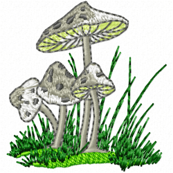 Mushroom Embroidery Design 10 Mushroom Embroidery Design 10